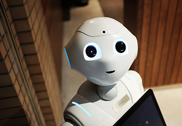 chat-bots-development chat-bots-development