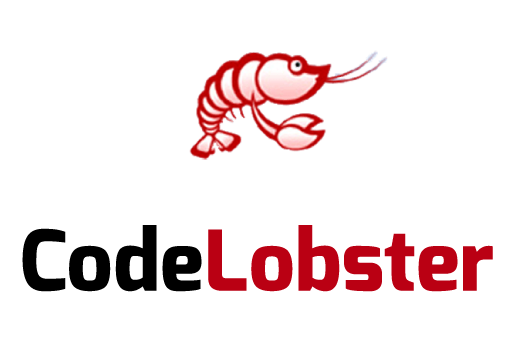 code-lobster Custom Software Development Company - Tekki Web Solutions Inc.